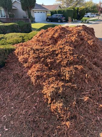 Redwood wood chips 1