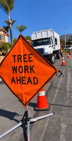 🚛 TREE SERVICE + JUNK REMOVAL 1