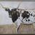 Cow painting 2 thumbnail