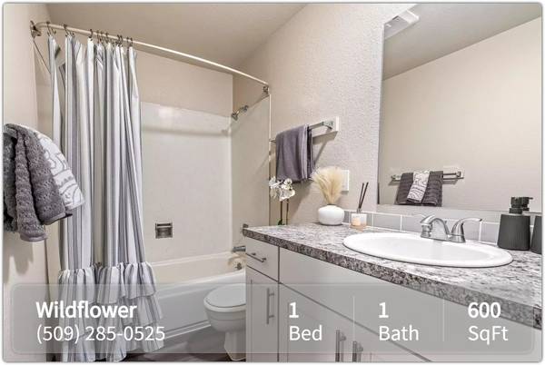 $1,195 / 1 hab. - 600 pies² - ¡Increíble departamento de 1 habitación y 1 baño en Wildflower! ¡Lavadora/secadora incluidas! (Kennewick)63829801703043121