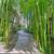 Beautiful Spacious 3-bedroom 2-bath - LIMITED TIME OFFER 9 thumbnail