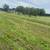 3 Acres Tree Covered 6 thumbnail