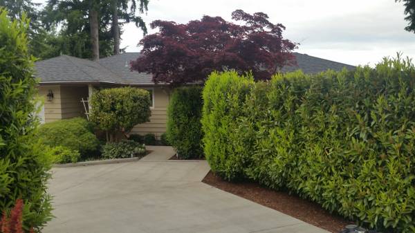 $2,500 / 2br - 2 bedroom 2 bath in quiet setting, all utilities paid, except cable/ph (puget)635096499580171222