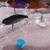 Five New Floating and Suspended Fishing Lures  --T#7 7 thumbnail