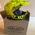 HJC creeper helmet - youth L  brand new 1 thumbnail
