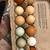 Fresh farm eggs 2 thumbnail