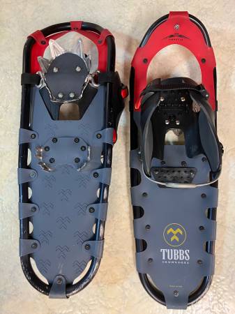 Snowshoes with poles 1