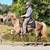 FOR ADOPTION - Heartland Equine Rescue -11yr Rocky Cross Pony 18 thumbnail
