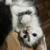 Kittys 1 thumbnail