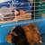 Guinea Pig Cage, Accessories and Guinea Pigs 4 thumbnail