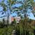 Crepe Myrtle Tree 4 thumbnail