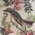 Flycatcher 1833 Audubon print artwork 2 thumbnail