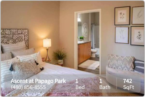 $1,369 / 1br - 742ft2 - Beautiful community! Affordable 1 bed / 1 bath for rent (Phoenix - Downtown Phoenix)63966954002307121