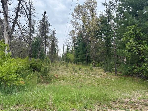 $16,900 14 beautiful lots in the heart of Idlewild! (Idlewild)64037896761091123