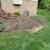 LANDSCAPING SERVICES!!! 12 thumbnail