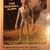 1990’s Original Roswell Alien - With Card - 3.75 Scale Figure 3 thumbnail