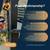 ORNAMENTAL IRON COMPANY - WROUGHT IRON REPAIRS & MOBILE WELDING 11 thumbnail