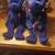 Beanie babies brand new with tags 6 thumbnail
