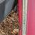 1965 Jeep CJ5 Tuxedo Park project 4 thumbnail