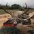 Hunting Lease 4500 Acres 2 thumbnail