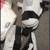 Martial Arts MMA TKD Karate Sparing Shin Guards w Instep sz M Pro Force II 4 thumbnail