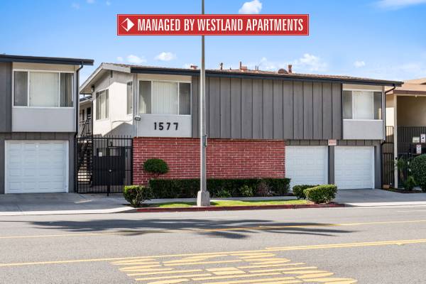 We’ve found your next apartment, and it’s amazing! 1