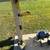 Electric yard tools 5 thumbnail