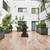Looking to secure a 2 bed 2 bath for summer/fall? Pre-lease available 7 thumbnail