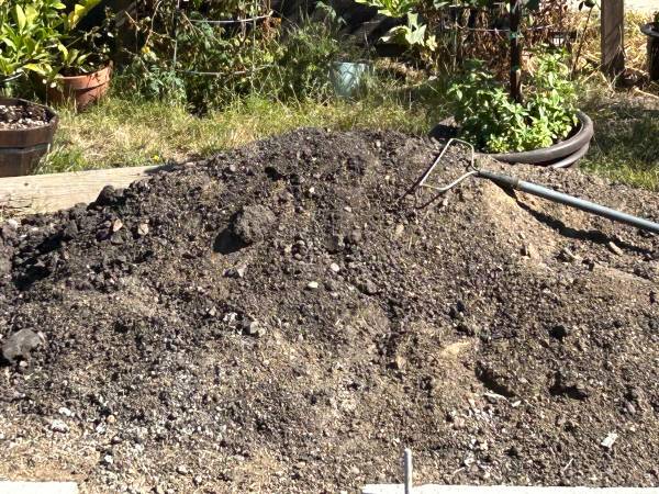2-3 pickup truck loads of dirt— free 1