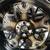 20" Jeep Grand Cherokee Gloss Black wheels rims tires OEM set 4 9181 S 3 thumbnail
