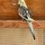 Handfeed cockatiel 5 thumbnail