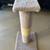 Cat Scratching Post 1 thumbnail