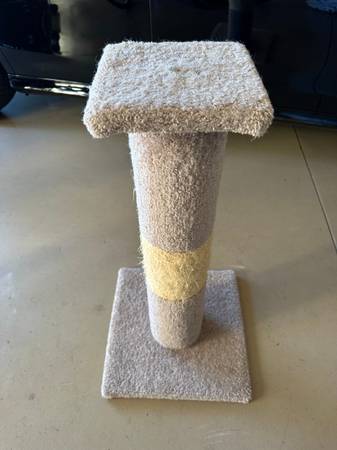 Cat Scratching Post 1
