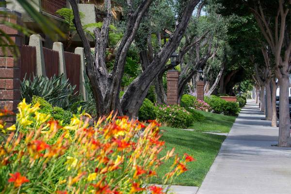 $2,295 / 1br - 605ft2 - 24/7 Online Resident Portal, Spacious Closets, Dishwasher (8450 Atlanta Ave, Huntington Beach, CA)64027919144195123