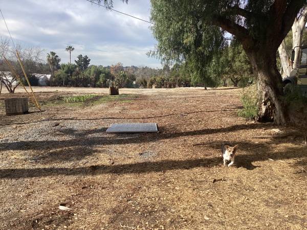 $950 RV space avail. Country setting 15min to BEACH (Vista)63998455930626120