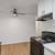 2 Br- ONE MONTH FREE WITH A 12-15 MONTH LEASE TERM- NEWLY RENOVATED 5 thumbnail