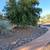 Storm damage/Handyman/Landscaping/Tree trim/Powerwash $25 hrly/per job 10 thumbnail