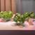 Click and Grow Smart Garden 27 4 thumbnail