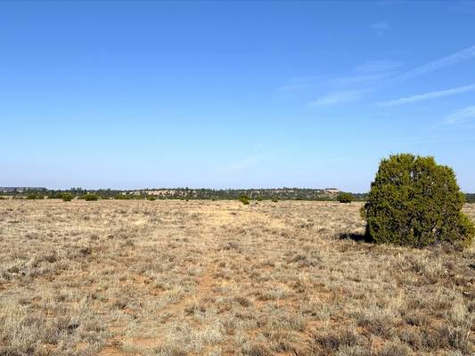 $14,950 Build Tiny & Mobile Homes in 5 Acres for $175/mo63659746968963121