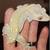 Crested geckos 8 thumbnail