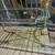 Art deco etched glass console table sunroom rustic stand server bar buffet farm 8 thumbnail