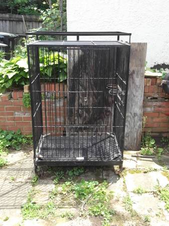 Large Parrot cage 1