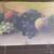 Antique pastel/chalk still life signed 4 thumbnail