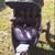 Graco-Relay Jogger Stroller 5 thumbnail