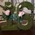 Wedding Decor includes Giant Grapevine Wreath W/Roses & Fairy Lights 12 thumbnail