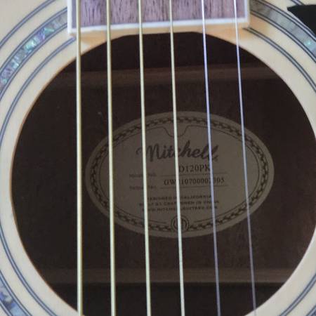 Michell d120pk Guitar and groovy case - $75 (North Richmond)62970103573635123