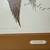 Geese in Flight!!Vintage, Signed, Wildlife Art Print 3 thumbnail