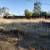 Moving IN/OUT Need Yard Clean Up ? Sprinklers, Drips repair 7 thumbnail