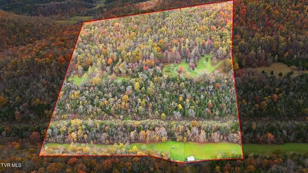 $490,000 Welcome to this Beautiful 54.5-acre Tract (Eidson)64278776792449121