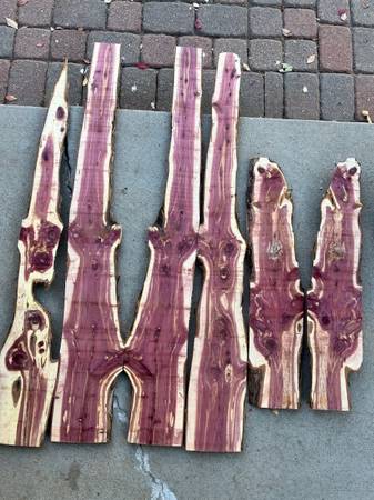 Beautiful live edge cedar for art, table, bench, coat tree 1